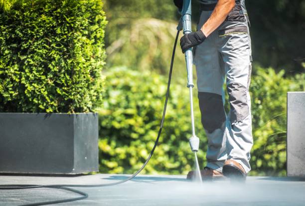 Boat and Dock Cleaning in Bath, MI